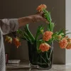 Aer Vase H 19cm