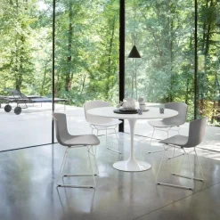 Bertoia Plastic Side Chair Stuhl 4er Set
