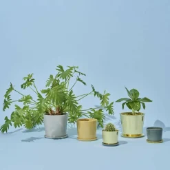 Botanical Family Untersetzer XL