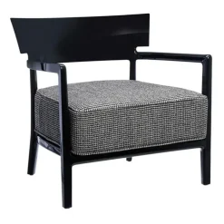 Cara Fancy Sessel