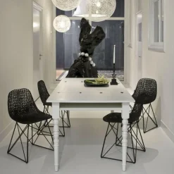 Carbon Chair Stuhl