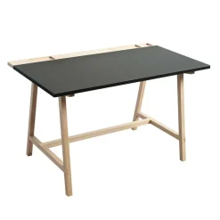 D1 Schreibtisch
