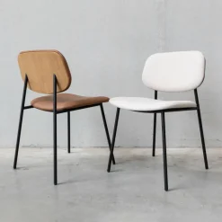 Daily Stuhl