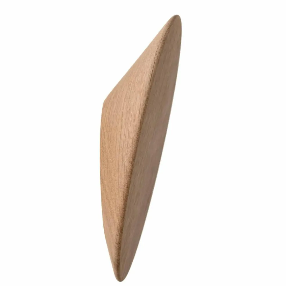 Disk Wandhaken