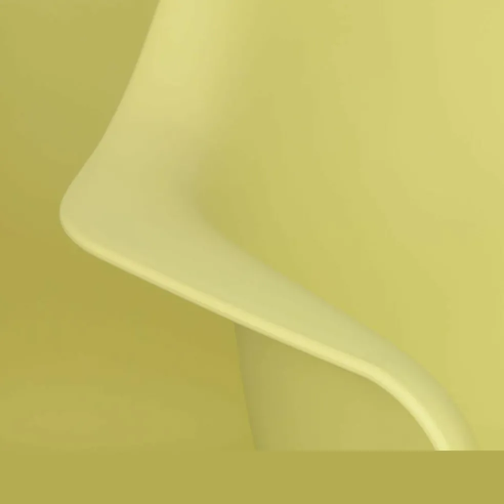Eames Plastic Armchair DAW RE Ahorn dunkel