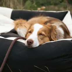 Hundebett L