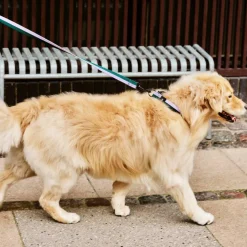 Hundehalsband M/L
