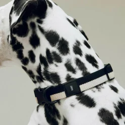 Hundehalsband M/L