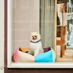 Hundehalsband S/M