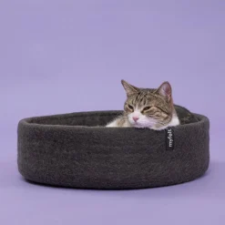 Kuno Katzenkorb