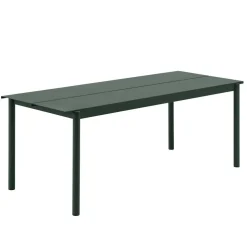 Linear Steel Gartentisch 200x75cm