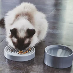 Piatto Katzennapf S