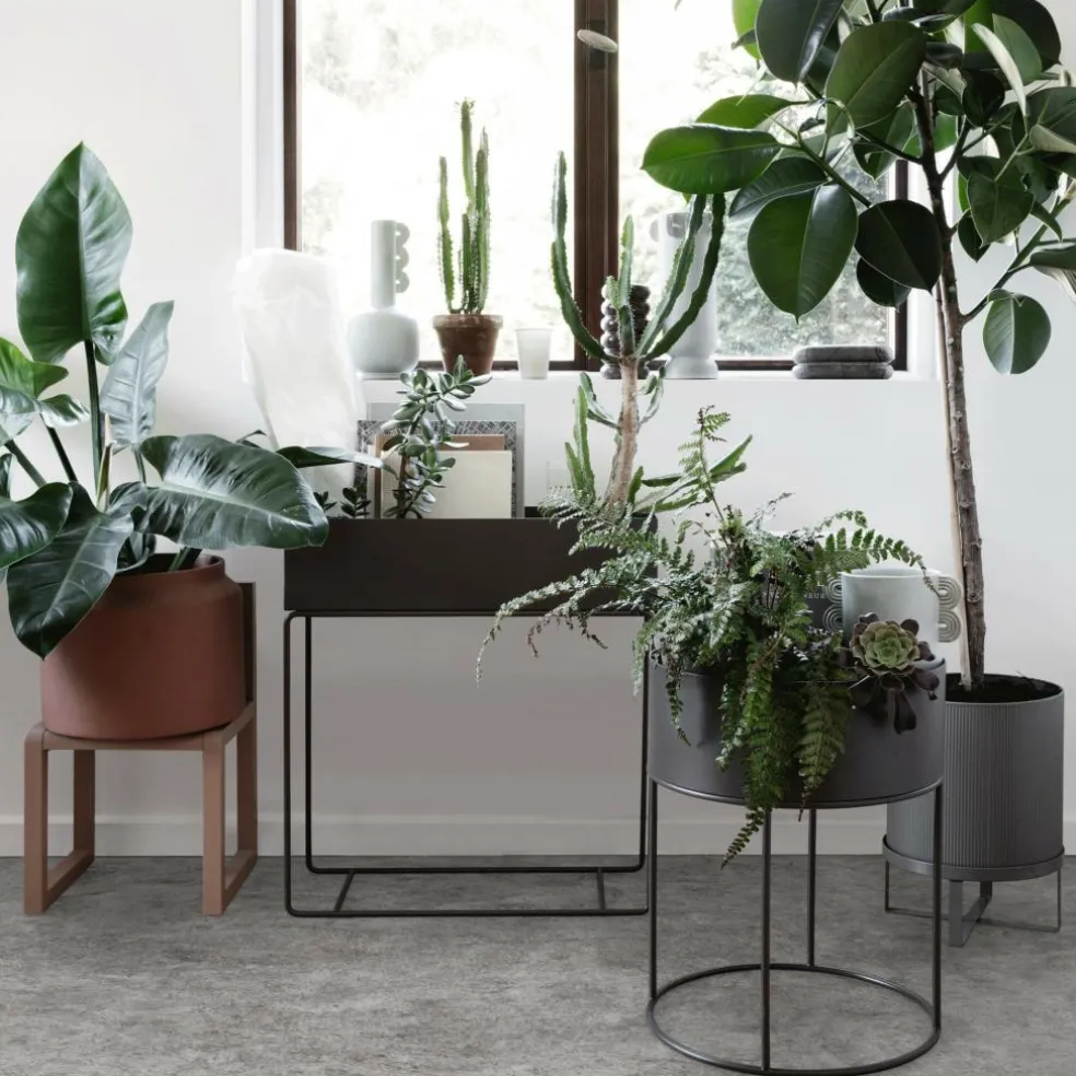 Plant Box rund