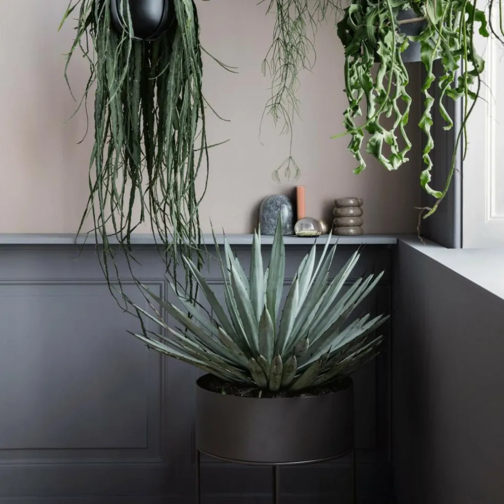 Plant Box rund