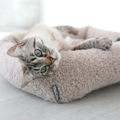 Senso Box Katzenbett