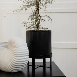 Shell Blumentopf