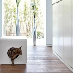Sito Katzentoilette