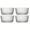 Tundra Schale 4er Set 25cl