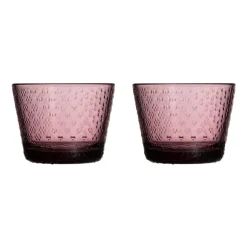 Tundra Trinkglas 2er Set 16cl