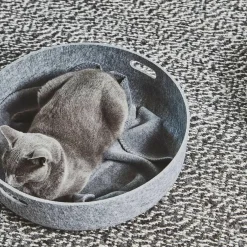 Unica Katzendecke